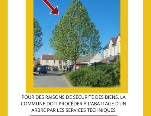 Abattage d’un arbre pour des raisons de sécurité: 18 avril 2025. Rue Alexandre Dumas